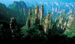 张家界吃瓜爆料新闻,揭秘当地美食背后的故事