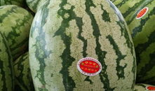 吃瓜爆料的真假如何辨别